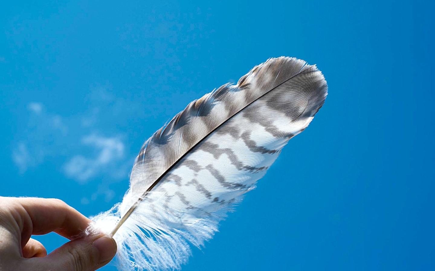 Meditieren – innere Ruhe finden